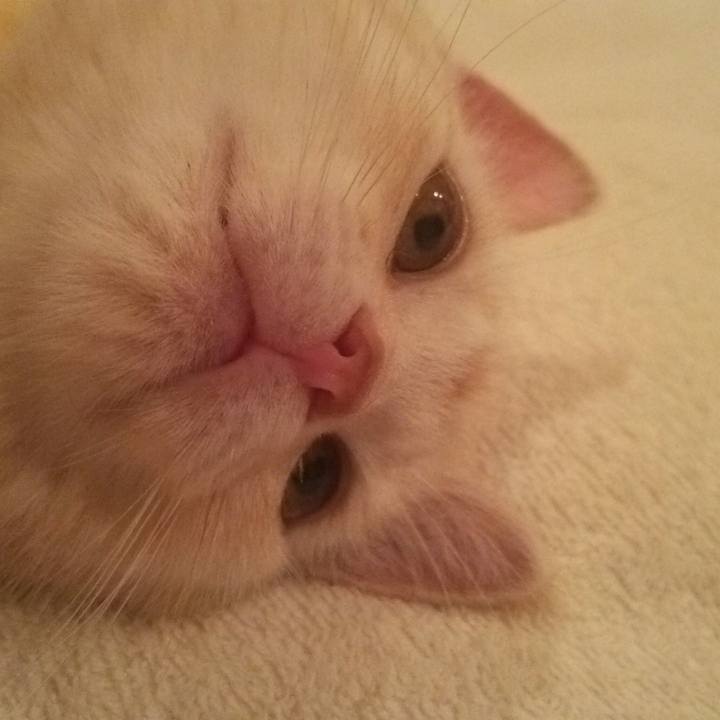 964f90be 29b4 454e b5f3 dde825ecd9c1