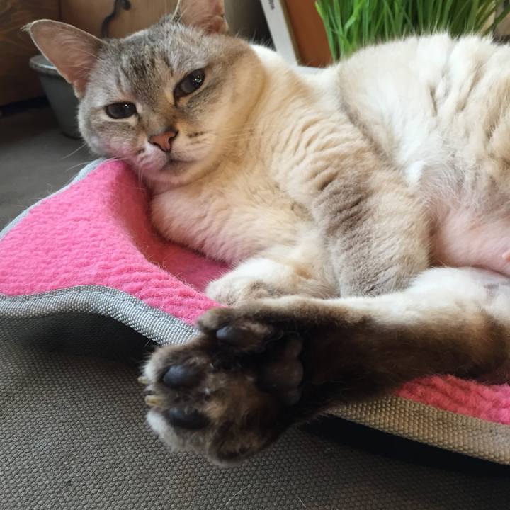 9650b61c 87d9 4f50 a02f c691d21480a9