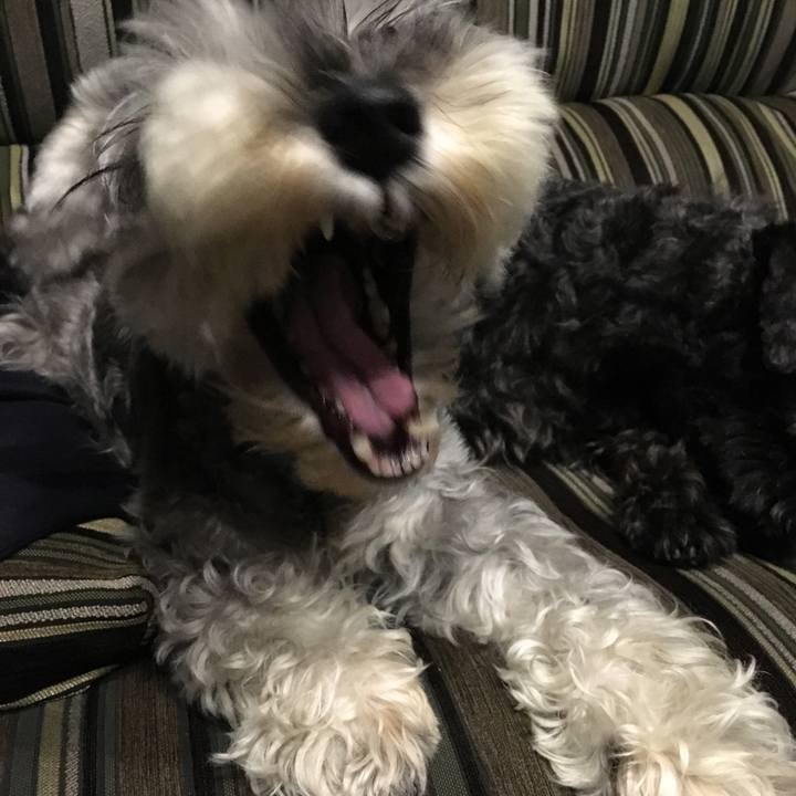 96514be7 6a77 4a7f 90c6 35da2af4f978