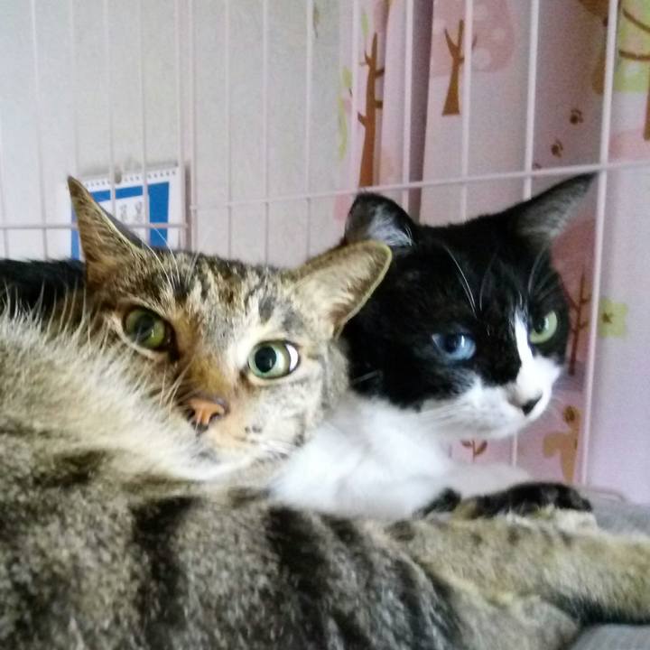 965182e0 9c16 4287 88f0 0695f0031c64