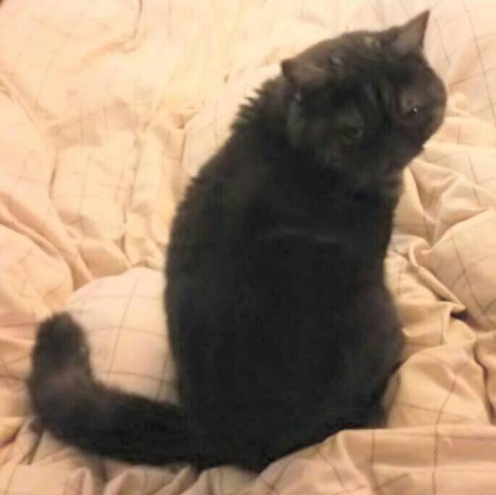 96518cec 002f 4542 8aae 476f8f206343