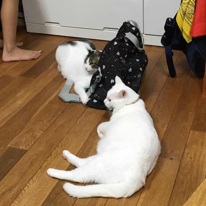 9651e4a1 df9f 4556 8e77 423ad99718c8