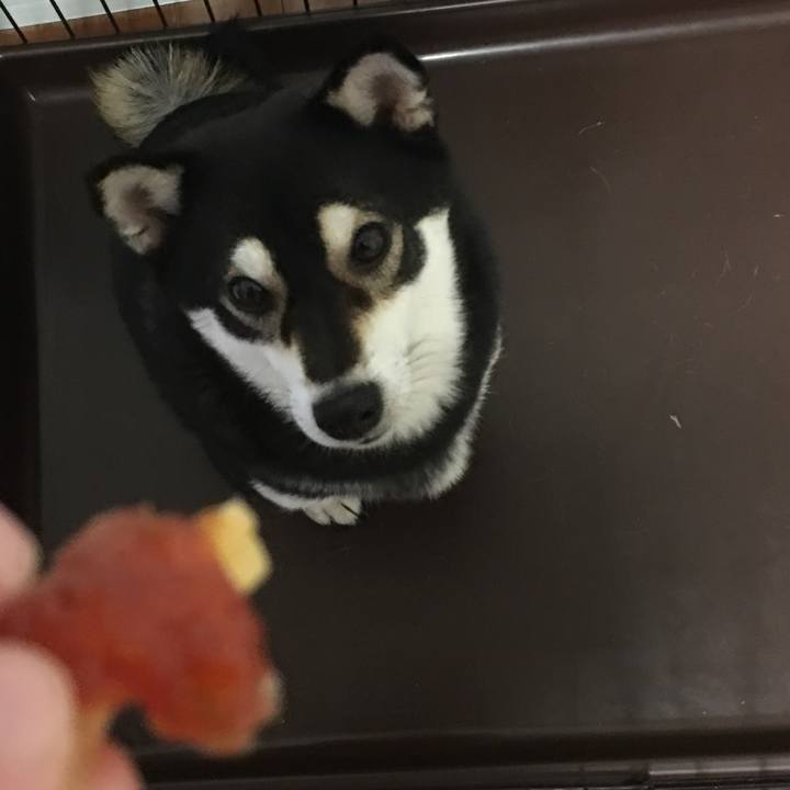 96521110 4141 4e6c a92f 0b2541339b68