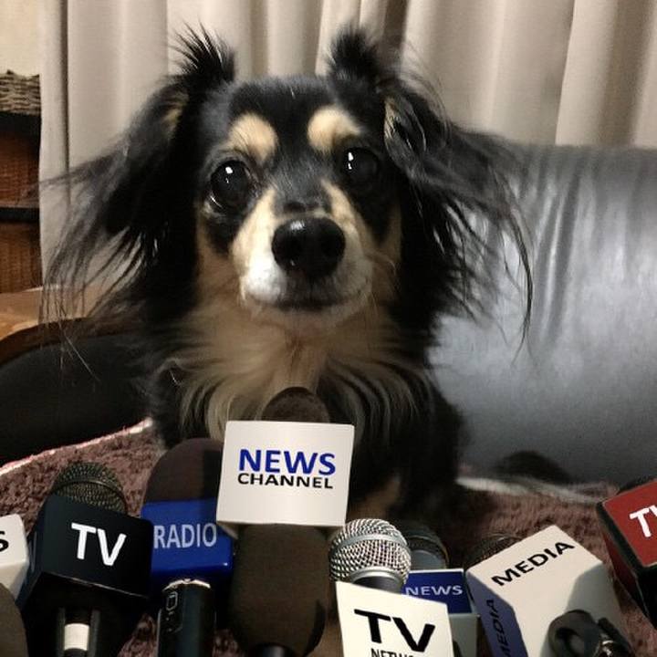 96523b33 f6be 4616 b5ac 8fd71d267b73