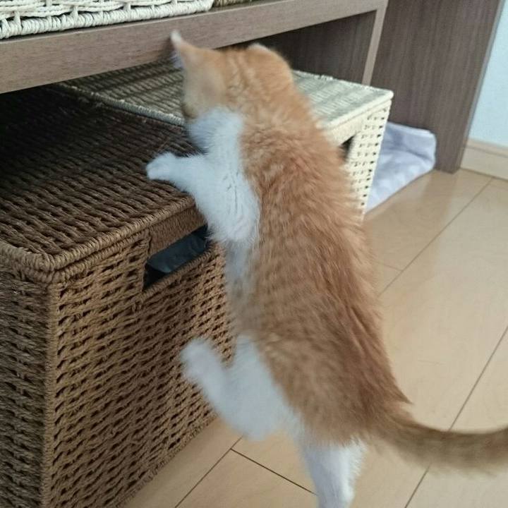 965295b6 69f5 44f7 a2bc a23915855c8e