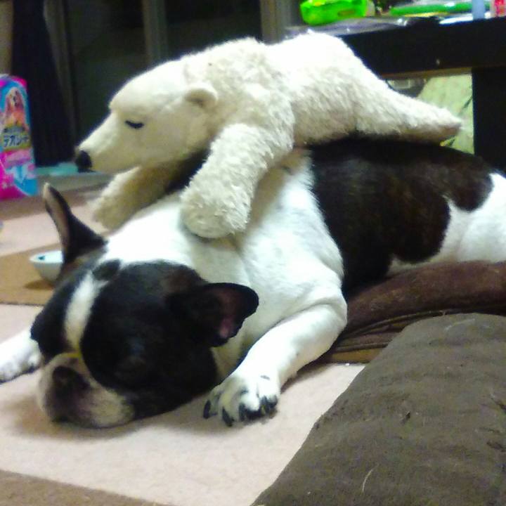 96531f92 9e5d 42cb 99be 94378b17bd1e