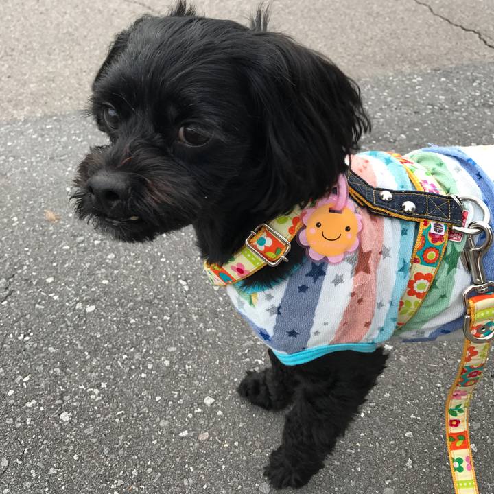 965323b2 f5bd 46de a0ee 875a330829cc