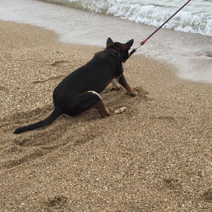 965369e7 6017 4a17 a1e5 bdb550a9484b