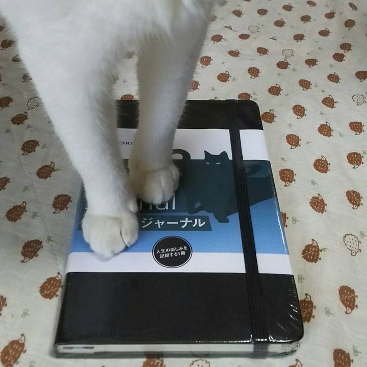 96539789 33ea 47e7 ae4c 269fd85b2307