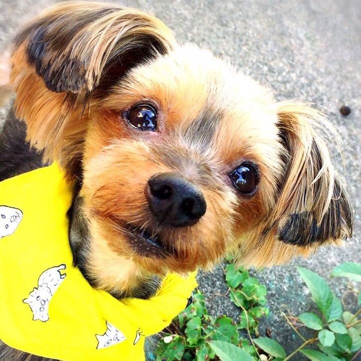 9653b9f6 661a 450b b972 18733e008d19