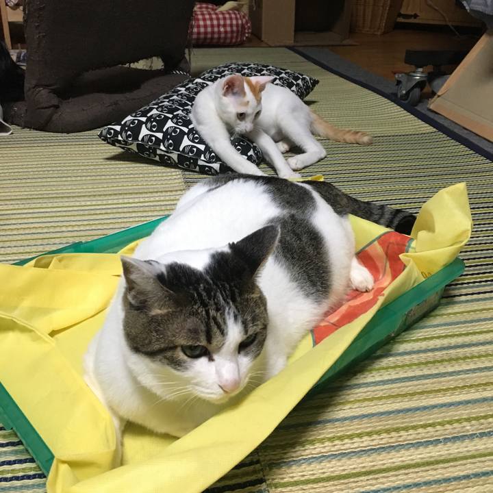 9653ce88 7617 4af6 b75b 8239b407d10f