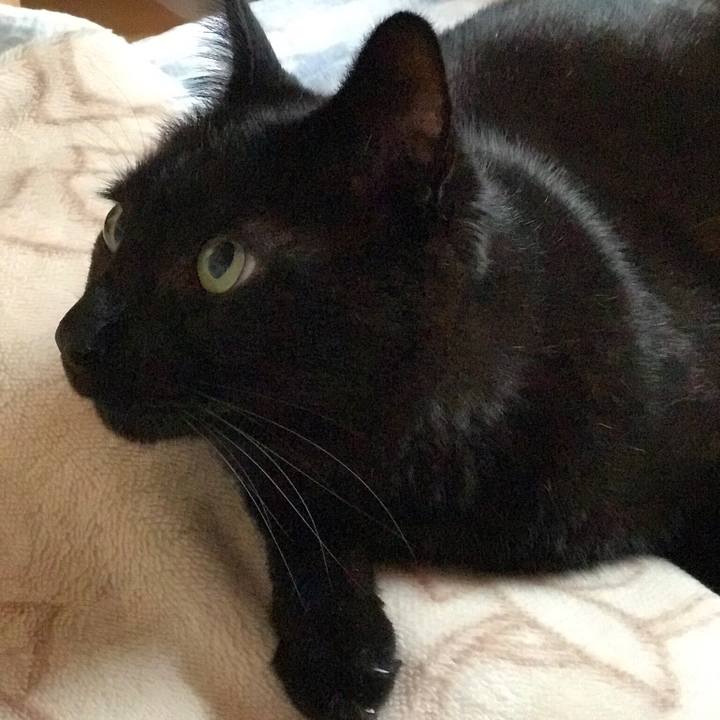 9654114a e9b3 496a abcc e9e7551afc3e