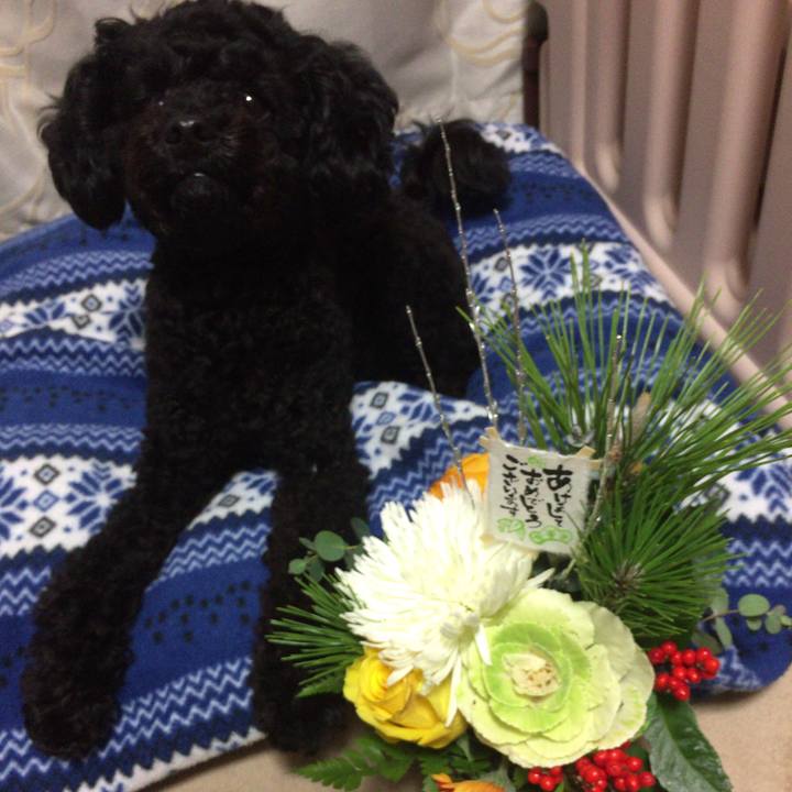 96547f5b f62d 421f 8edc fa225198aea7