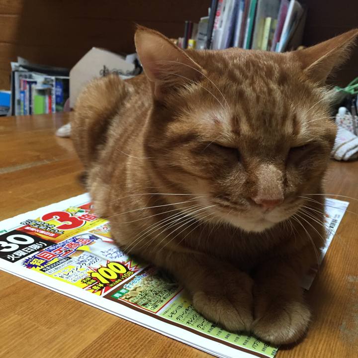 9654bfc6 55f7 4562 a393 d58dd5491d5d