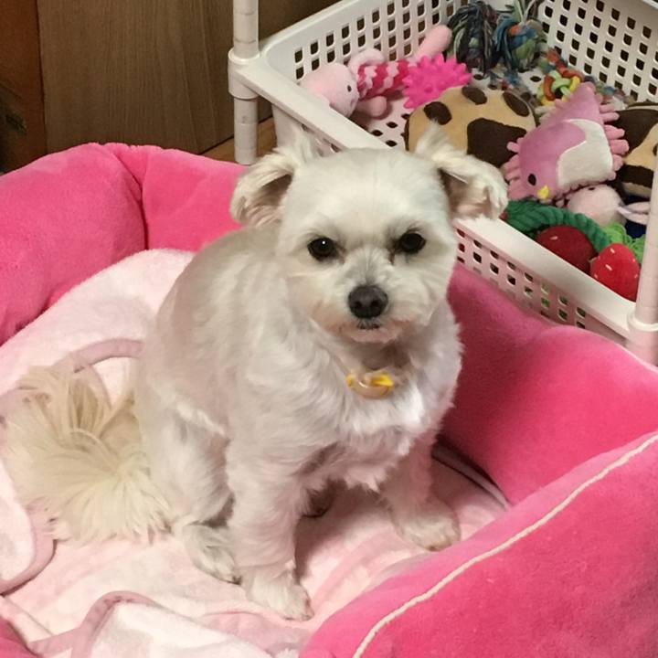 9654ef97 4ea3 4f2e ab1b af35c4e4d0ef