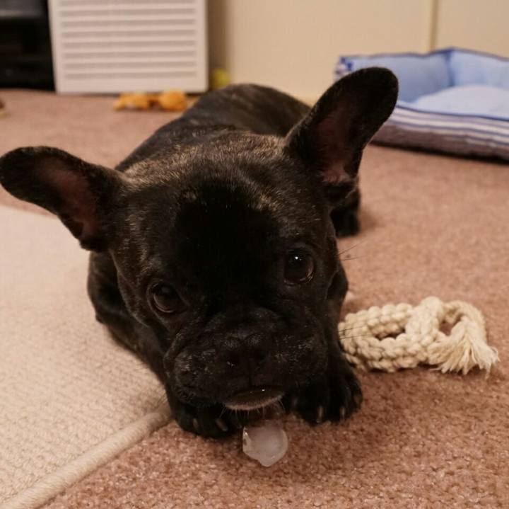 9654f382 e6dc 4e20 87ef 4a1a4ba74b33