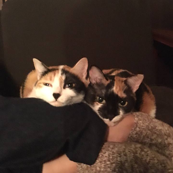 965576cd dbb6 44e6 aa43 0f80dee7f86f