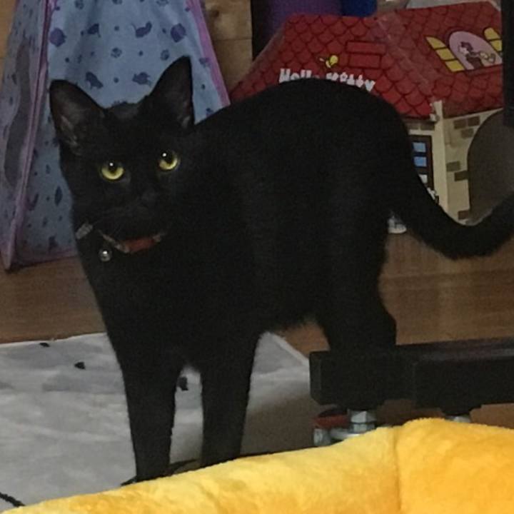 96557c83 c191 4cc1 968d 86b8da462a40