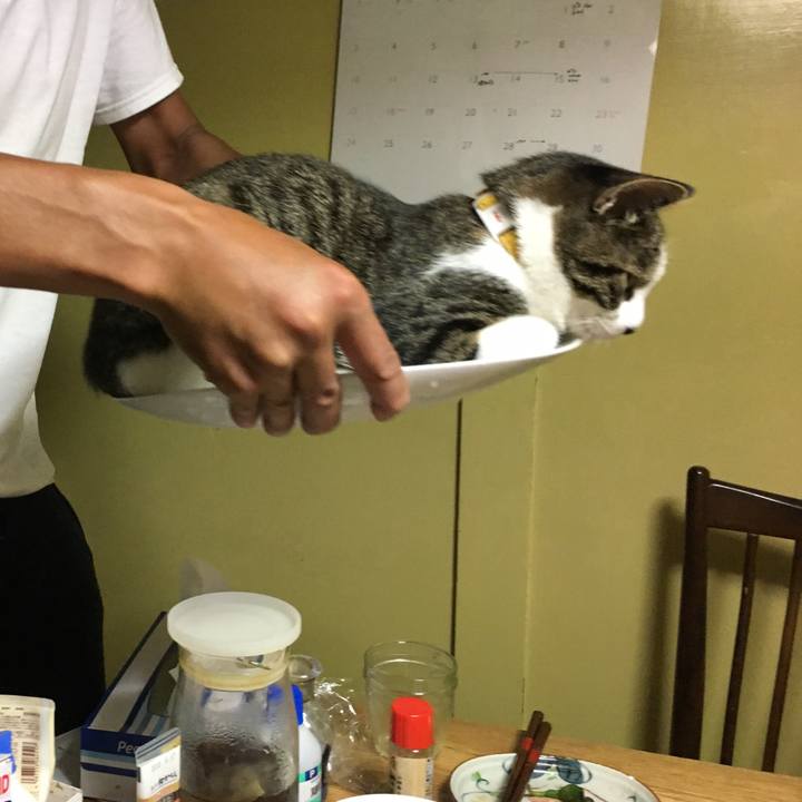 9656b65b 7cee 4048 bd37 d8c45f58fc73