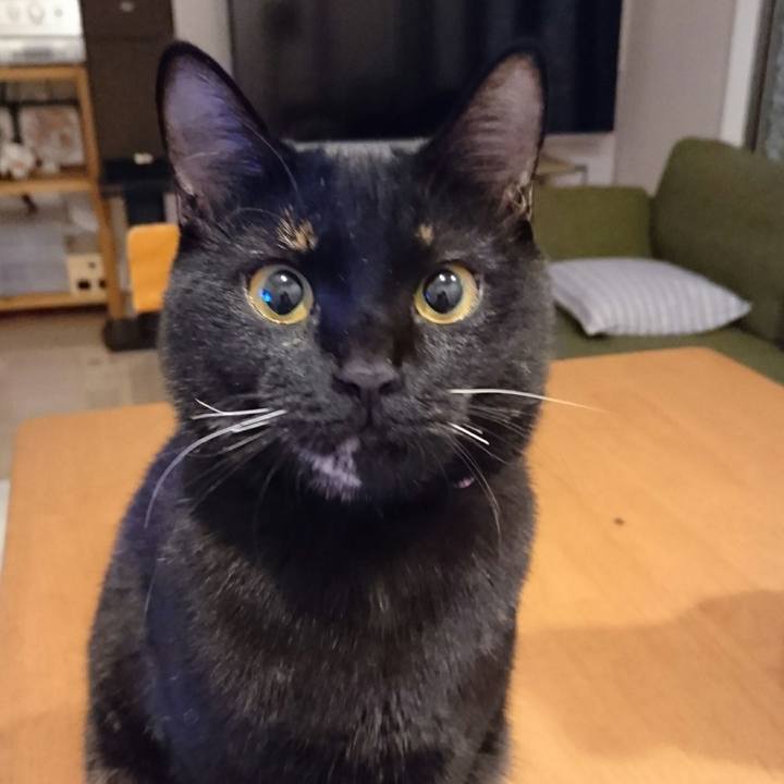 9657c2c5 97a8 48ce ba01 5250021117a4