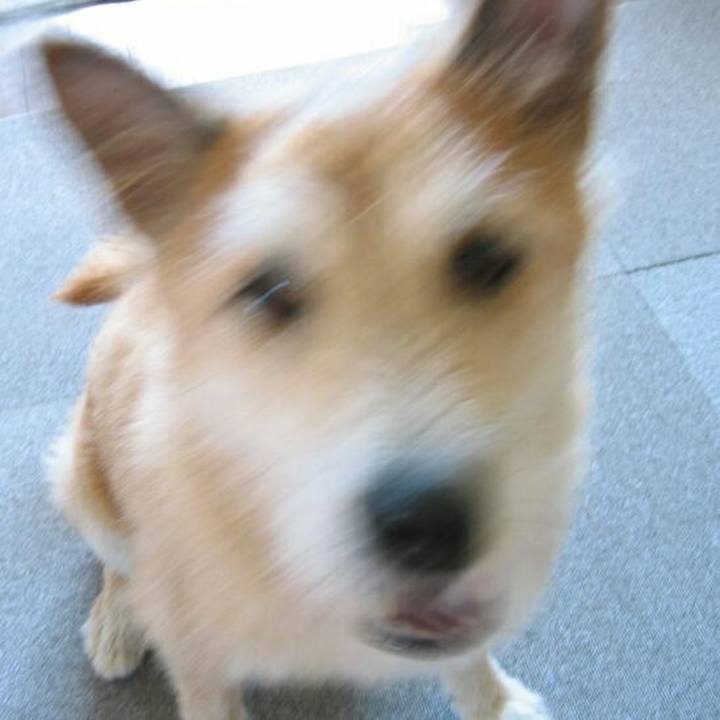 9658163d 1844 4c18 aef4 5495c775b733