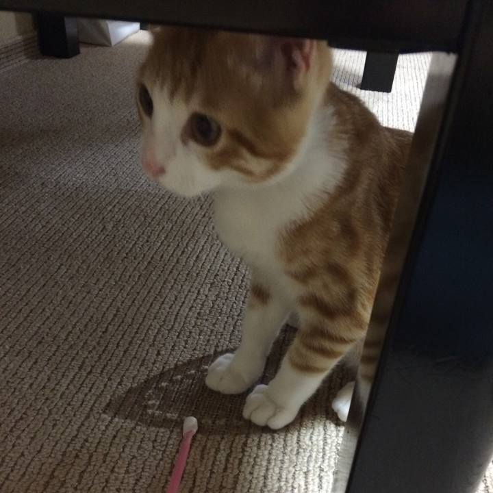 96587831 dcf2 4f77 994c 800e6efc87cb