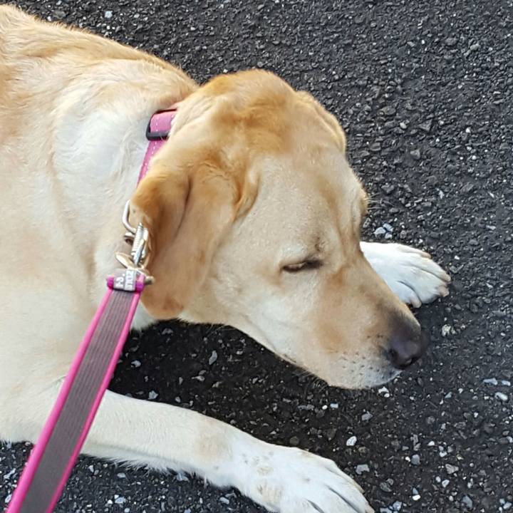 965968ed e9f3 4fc4 8bd2 d7223dc31dbb