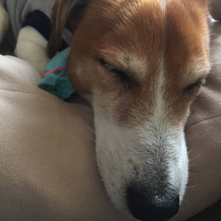 965a26b0 69b8 45f9 9be2 9fafb4561a60