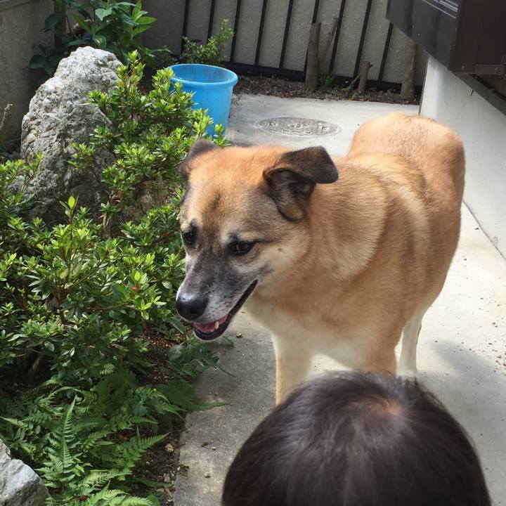 965ac943 f50f 4300 a49d 453acc1c6231