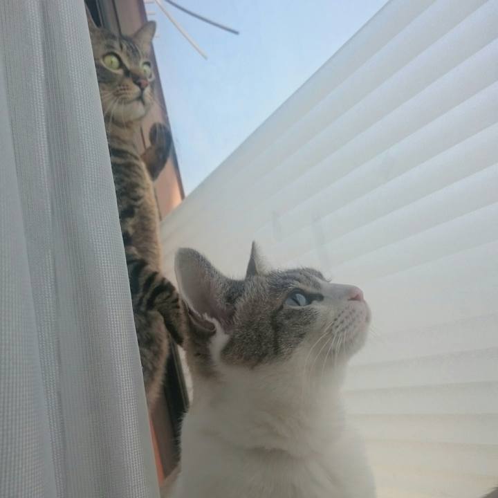 965b209e 5514 41b8 bc2c 5079d6d01a93