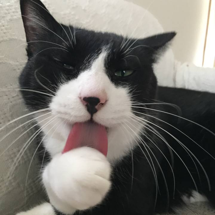 965b38e6 09bf 4f30 9d72 0e8b401eaa43