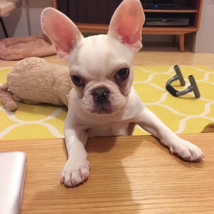 965c39ca 382a 4052 b31d 76c492525e67