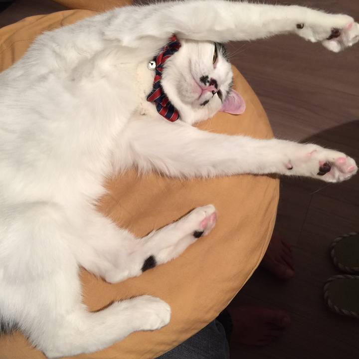 965c4543 7221 44dc ba0c 02f924655e33