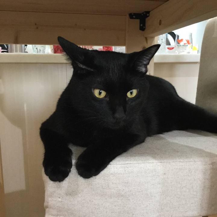 965ce086 8aad 46e9 b715 22f079efab00