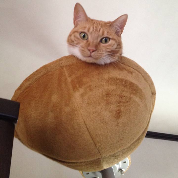 965d2566 7a17 452c ab37 4efca7a021b2