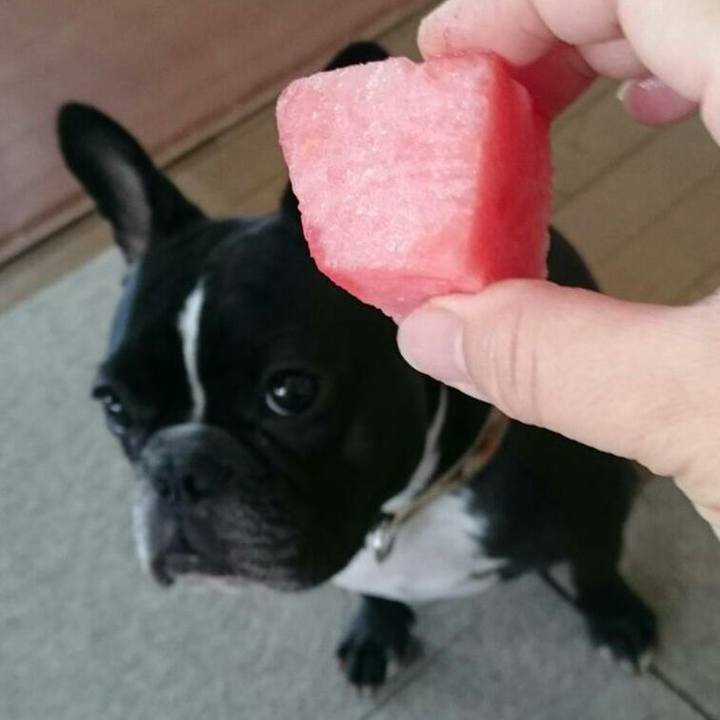 965d2d06 7e6d 4dd9 bf43 10cad4ab9df6