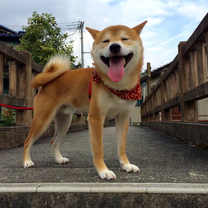 965d3549 f9fa 4389 b232 22795541721e