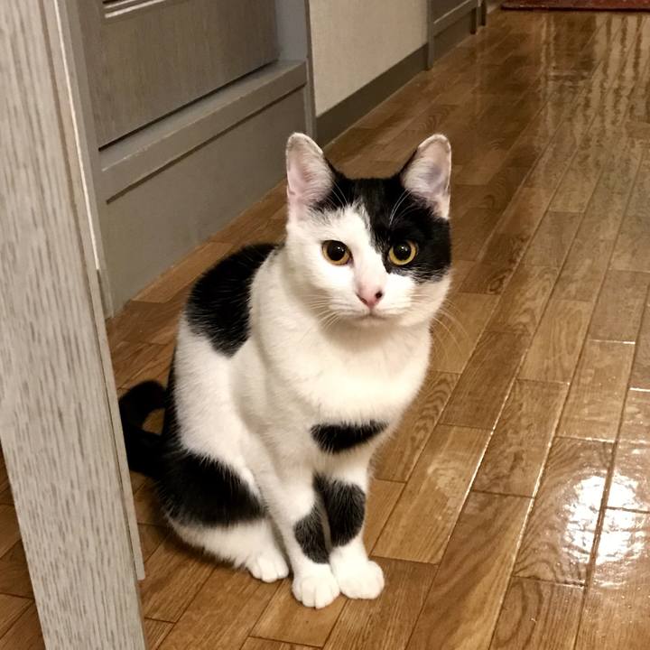 965de3da d646 4b87 9f55 10e9d3741f3e