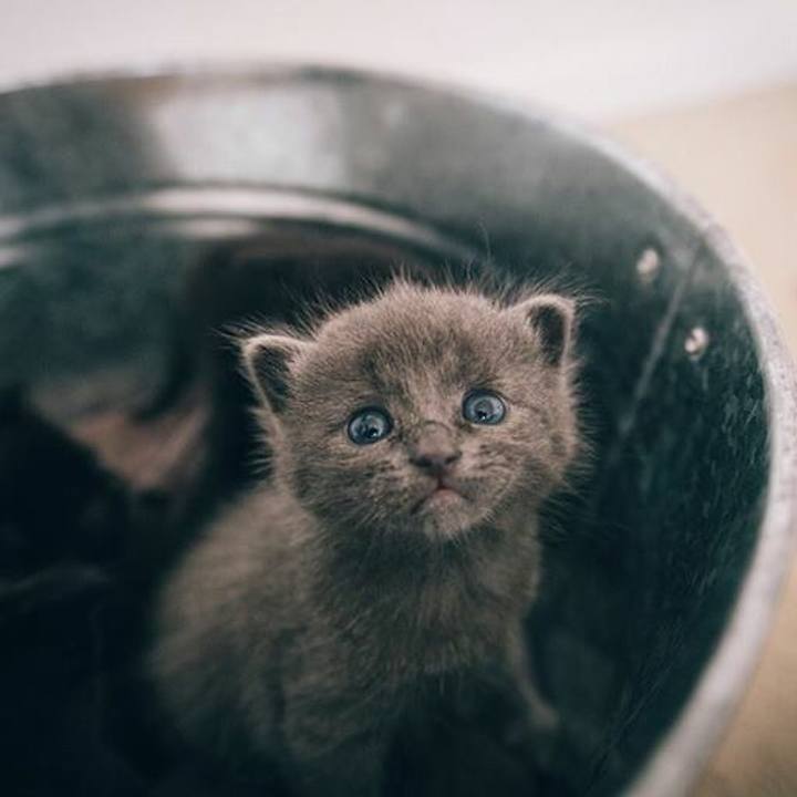 965df32e 5a44 4a5e 9c25 347ab0b07ab3