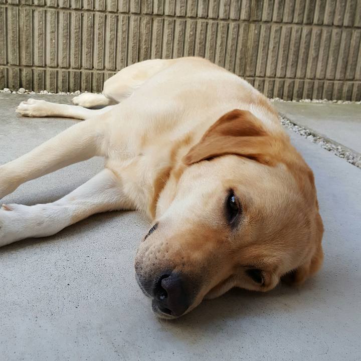 965f2229 2635 45de 8fd6 47449fa13791