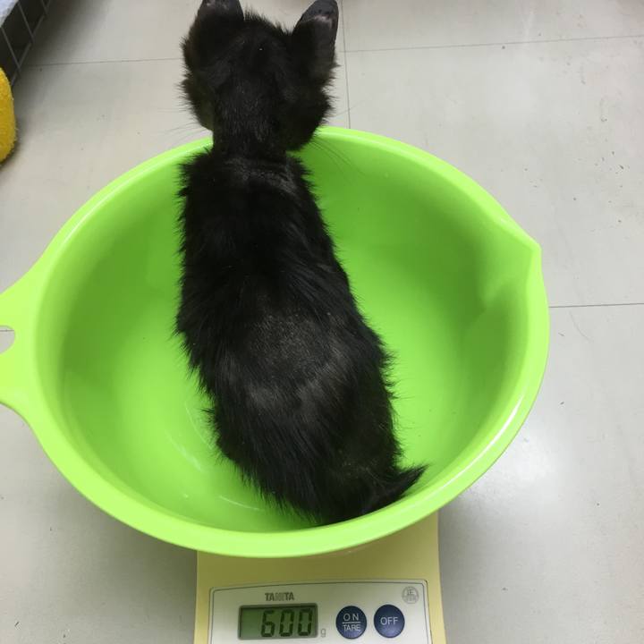 965f4e82 9cd2 44ad 8414 1f6461138d35