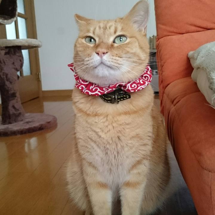 966005f5 c3b2 4838 9fb7 595be7cdfbb3