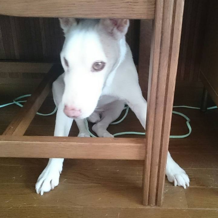 966014b5 ac87 4f1b a62c 6e67b26e4569