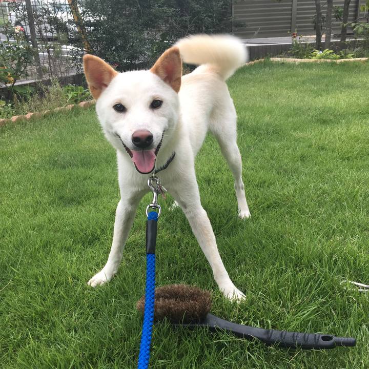 96605a90 404e 4c2a 830c 025d92ae66fa