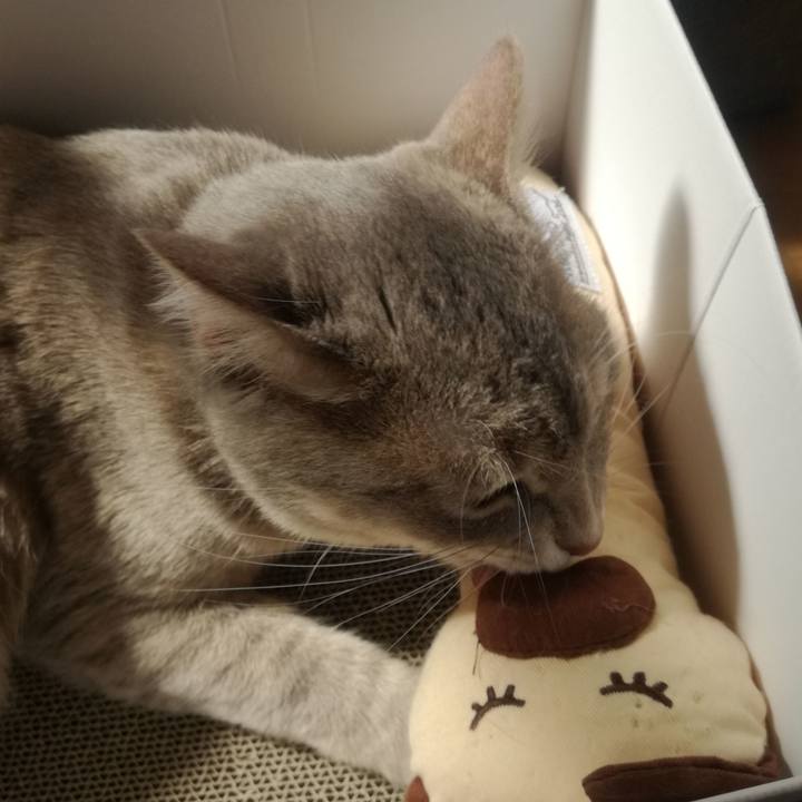 9660c78a 7002 4624 9f91 2b51e202134c