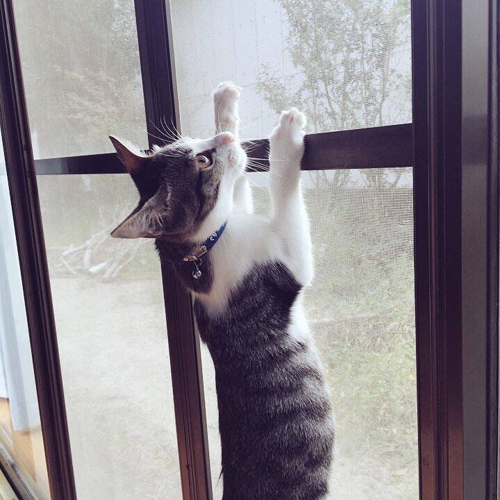 9660ceab ff49 4bf9 8143 b88db8da31b4