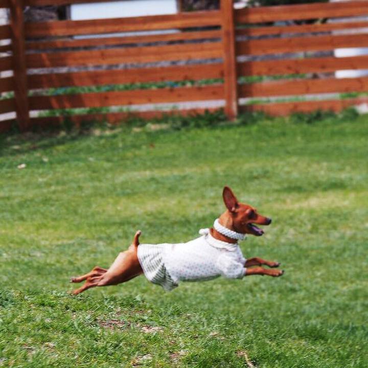 966120d6 b710 4654 bb84 f135985005ee