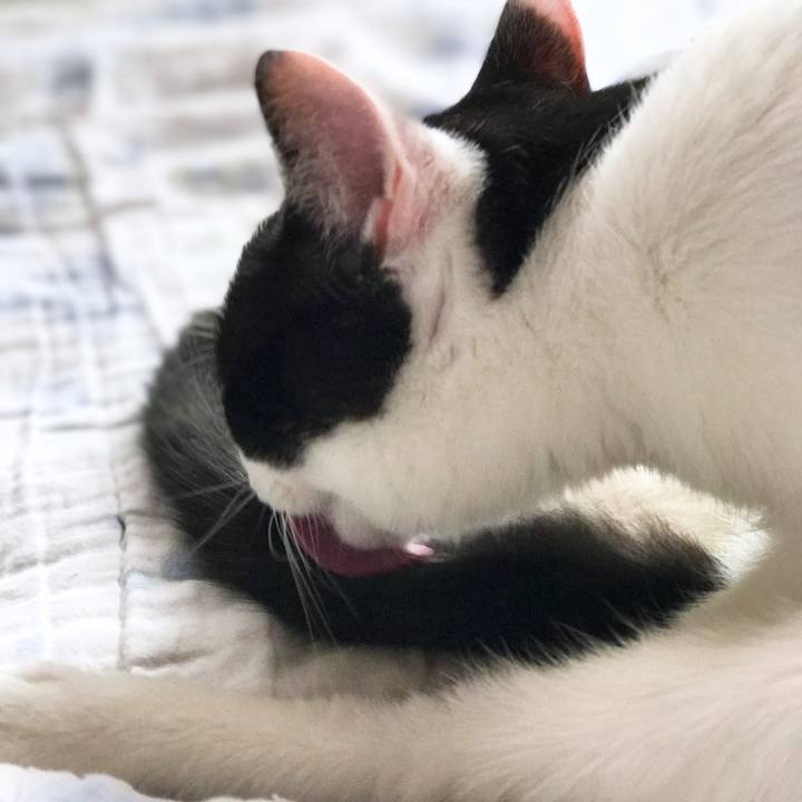 96613f1d 61bf 426b b457 f294296ba4f4