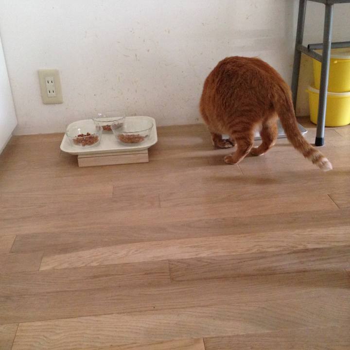 96616b15 6284 4f55 a6a6 b86bd257e9b0