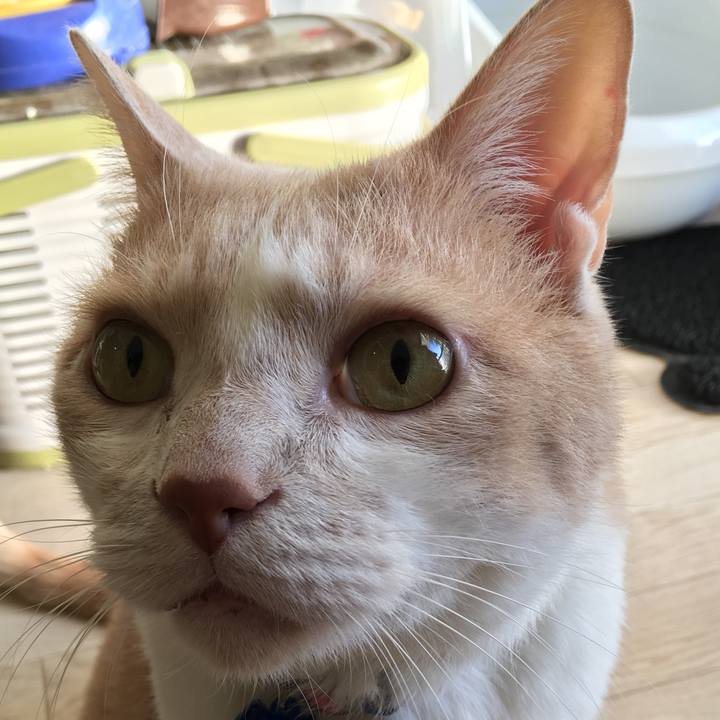 9661877f d91d 404c b8a5 36b96d660bbc